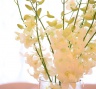 Лимонная свадьба - живые цветы